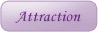 28 Attraction Principles